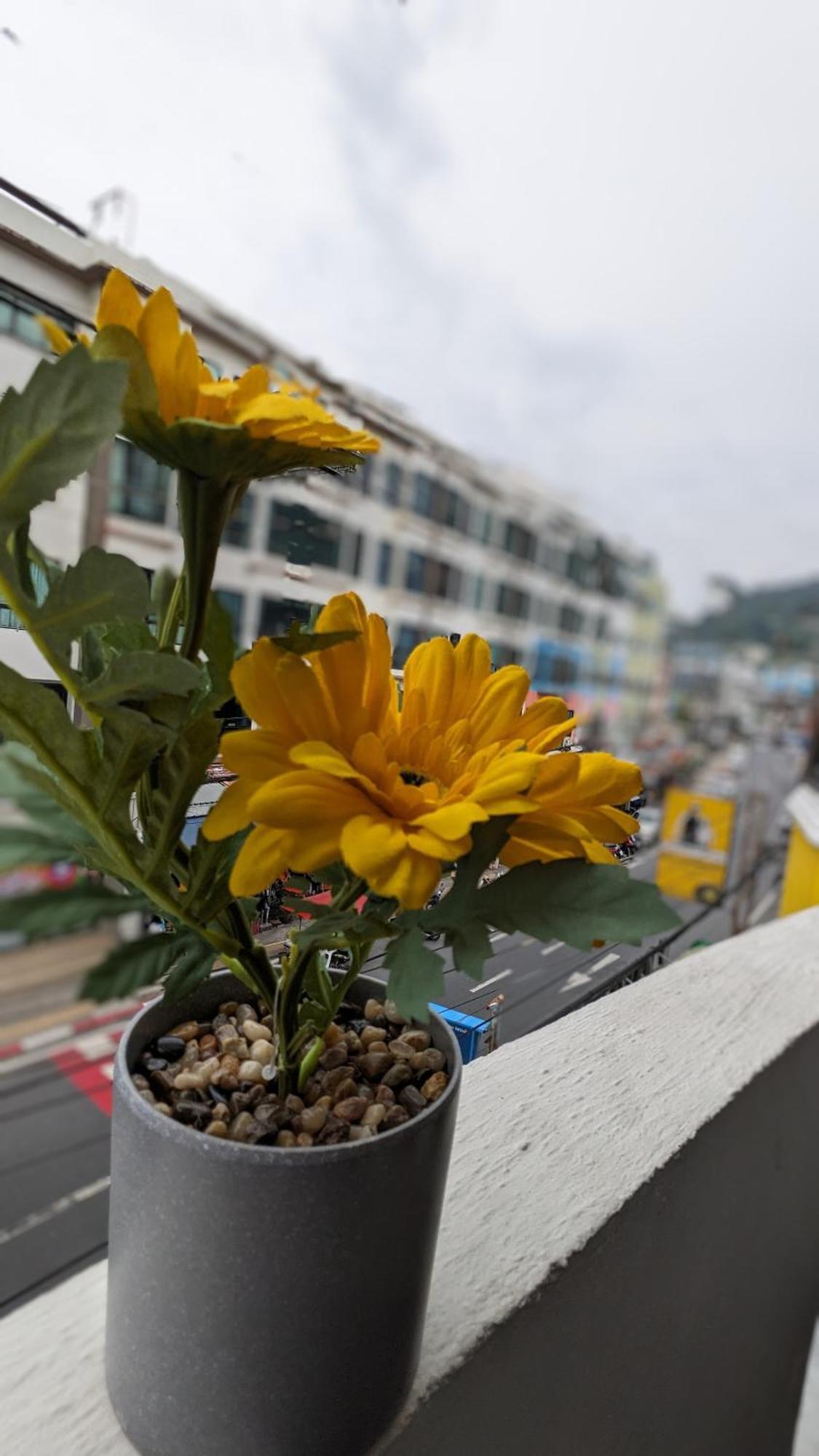 Heaven House Restro & Bar Hotel Patong Exterior photo